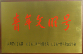 山东省青年文明号